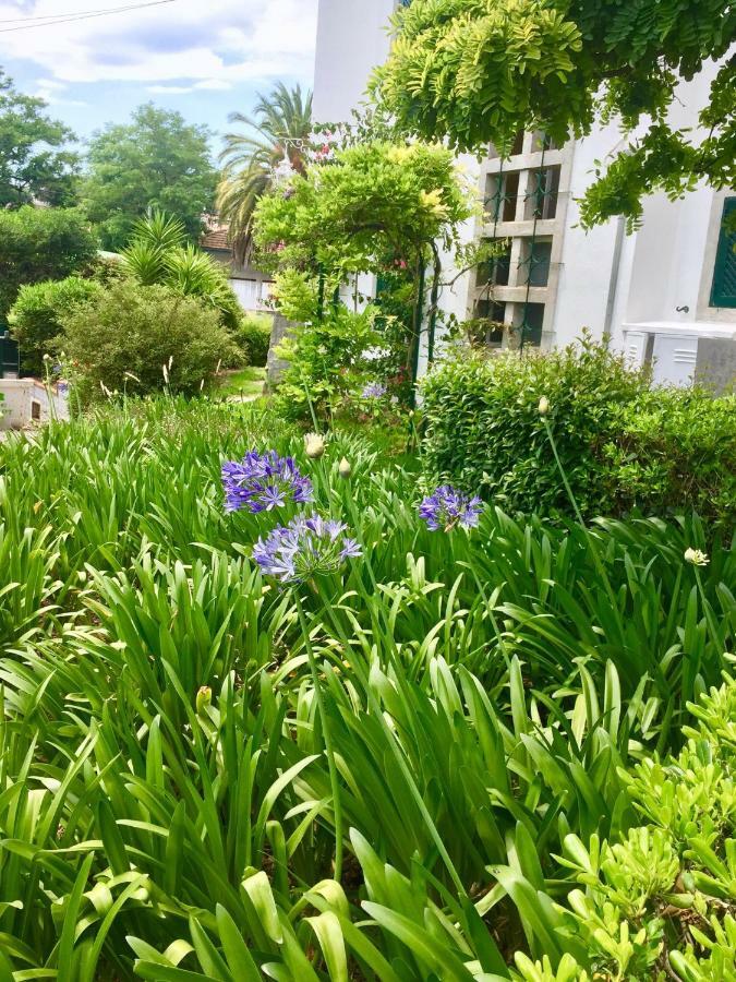 Cascais Seaside Garden Villa Eksteriør bilde