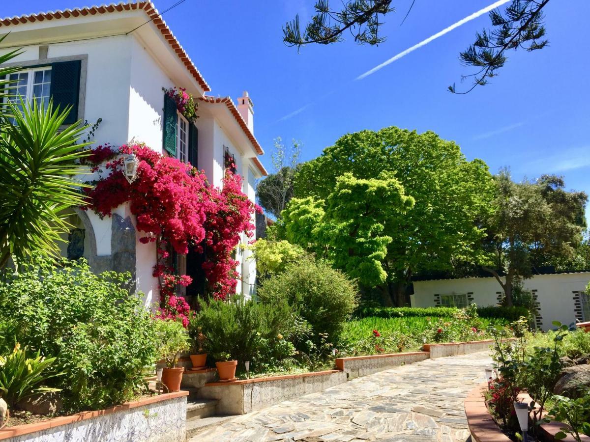 Cascais Seaside Garden Villa Eksteriør bilde